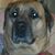 Mary Standish Sherman's profile image
