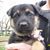 Kelly George's profile image