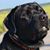 Louise Bolte's profile image