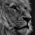 Jacob Schram's profile image