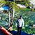 Rameez Hassan's profile image