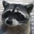 Mark Orr's profile image