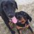 Audrey Groomer's profile image
