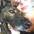 Brandy Long Tomblin's profile image