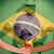 Francisco Plá-Cestero's profile image