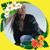 Elizabeth Salomon-Obering's profile image