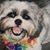 Yvonne Work's profile image