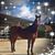 Tammy Jean's profile image