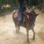 Yanitza Gutierrez's profile image