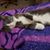Paula Huyck's profile image