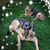 Manuela Hillenhagen's profile image