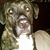 Kathy Adams's profile image