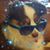 Jonathan Meyer's profile image