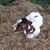 Vernon Vail's profile image