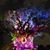 Sherry Dulaney's profile image