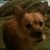 Melissa Rosas's profile image