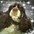Carol Baker Smith's profile image