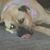 Don Garcia's profile image