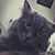 Abby VanHorn's profile image
