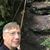 Glen Mortenson's profile image