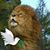 Jonathan Walker's profile image