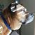 Amanda Turner's profile image