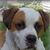 Carrie Shelton Newland's profile image