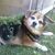 Cynthia Gagne Jones's profile image