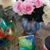 Joanne Murphy Pappalardo's profile image