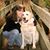 Tammy Griffith Lucas's profile image
