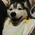 Ward Yeomans's profile image