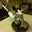 Joe Makowski's profile image