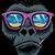 Keith Wolfe's profile image