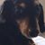 Gaither Kana's profile image