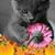 Ronda Buning's profile image