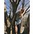 Ambriel Gerber's profile image