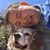 Sabrin Lee's profile image