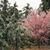 Arvene Kilby Hays's profile image