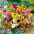Susan Evans's profile image
