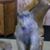 Randy Kuntz's profile image