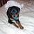 Valerie Willis's profile image