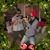 Susan Toscano's profile image