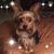 Janis Johnson-Phillips's profile image
