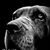 Lisa Gruszka's profile image