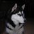 Judy Finnie's profile image