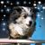 Jennifer Coleman's profile image