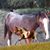 Kimberly Johnson's profile image