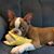Kathy Brown's profile image