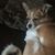 Jeanette Basile Andrews's profile image