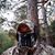 Alan Broughton's profile image